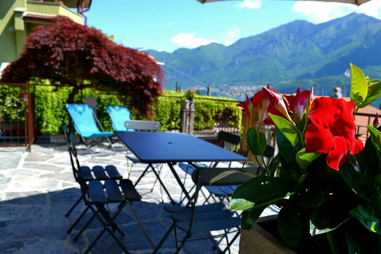 Le Grigne Guesthouse - The Garden Oliveto Lario Zewnętrze zdjęcie