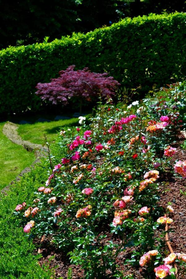Le Grigne Guesthouse - The Garden Oliveto Lario Zewnętrze zdjęcie
