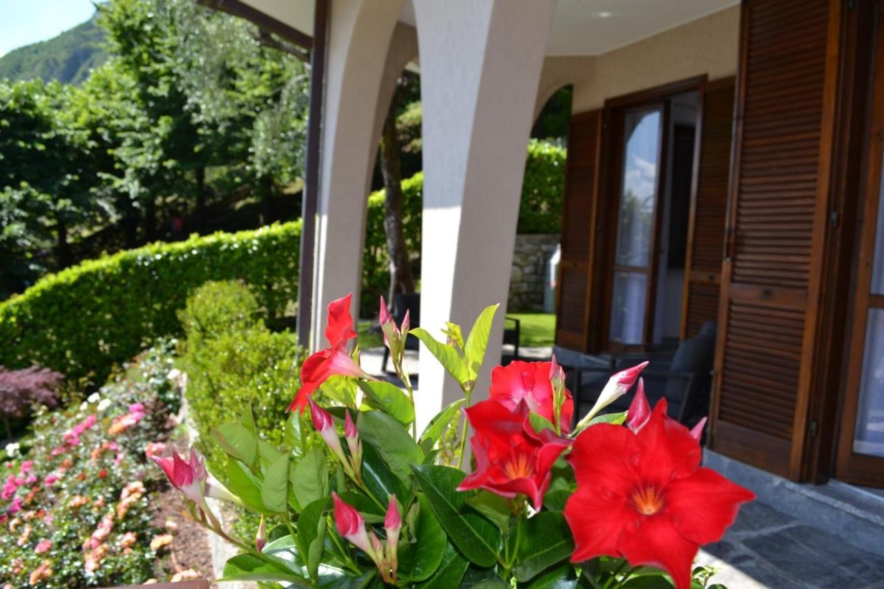 Le Grigne Guesthouse - The Garden Oliveto Lario Zewnętrze zdjęcie